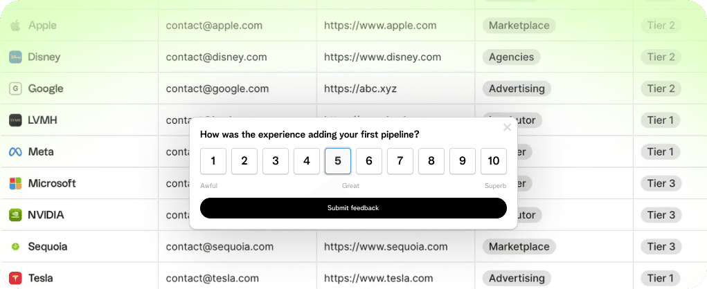 Survey & Feedback Interface
